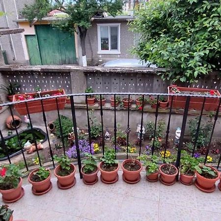 Guest House Kukera Pavel Banya Extérieur photo